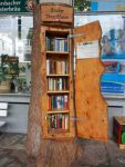 arbre bibliotheque en bois