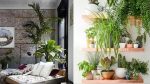 20 inspirations pour décorer votre maison avec des plantes vertes