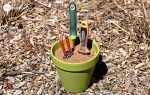 mettez vos outils de jardinage dans un pot…